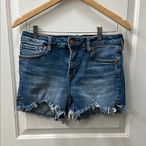 Dear John Blue Jean Shorts Distressed Frayed Hem
